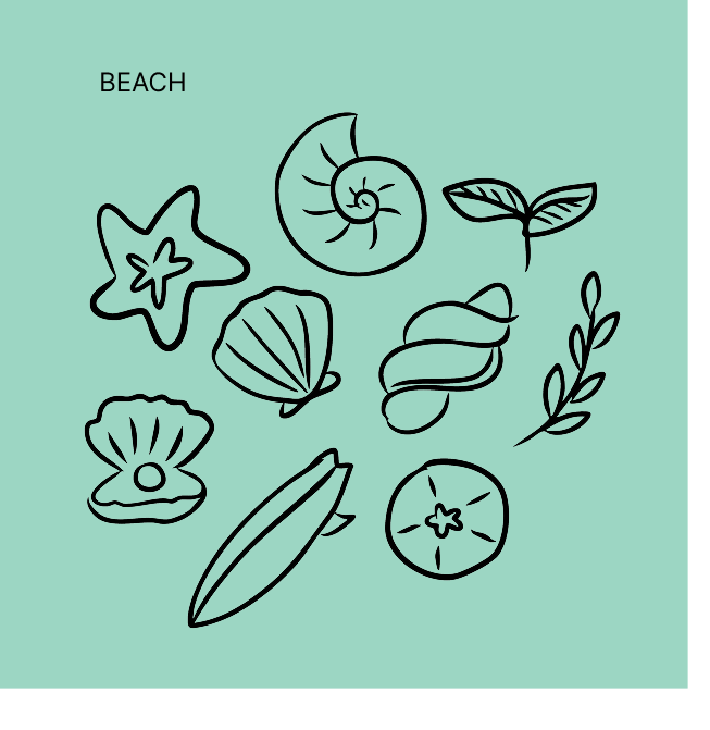 Beach doodles — shells, starfish, and seaweed